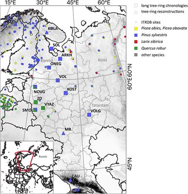 Dendrochronology in European Russia in the Early 21st Century: State of the Art